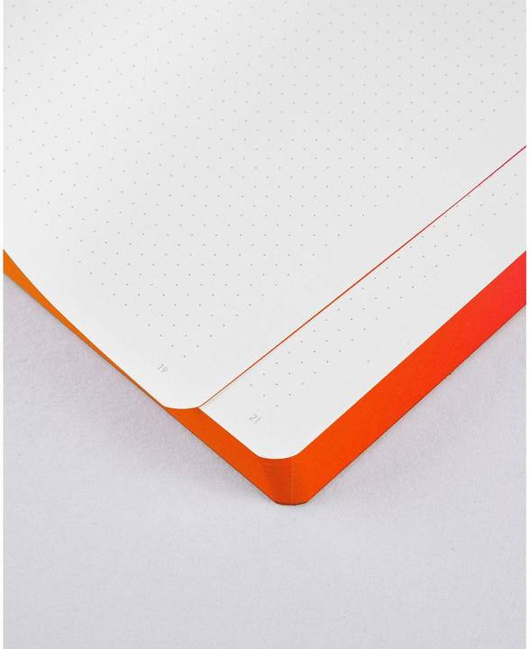Image du produit Nuuna Colour Clash L LIGHT, Burn (22 x 16,5 cm, À rayures, Couverture rigide)