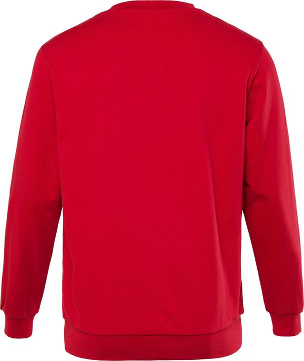Produktbild Men+ Sweatshirt, Rundhals, grosser Druck (4XL)