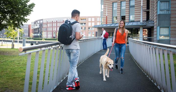 Image du produit Rivacase Village alpin 7560