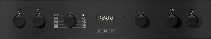 Image du produit Miele H 2456-60 E ACTIVE