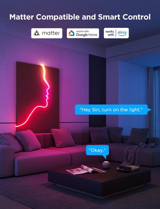 Image du produit Govee Neon (RGB, 300 cm, Intérieur)