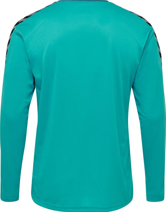 Produktbild hummel Authentic Poly Jersey L/S (L)