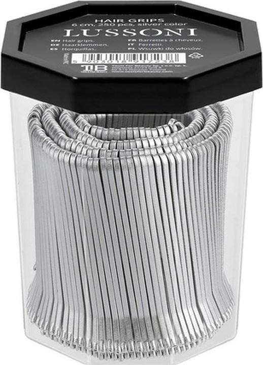 Immagine prodotto Tools for Beauty T4B LUSSONI 250 Pezzi Fermagli per Capelli Spille per Capelli Lisci 6cm Argento (250 pz.)