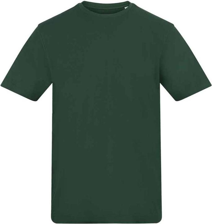 verde bottiglia