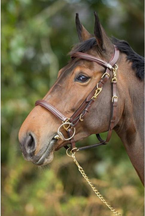 Image du produit HFI Master Combo