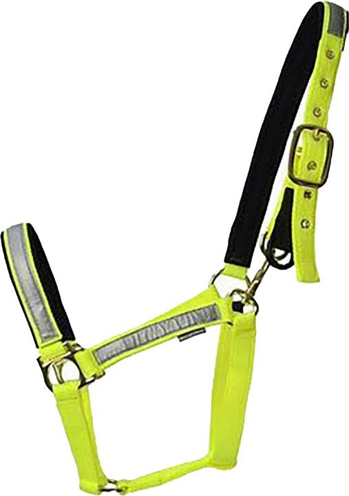 Immagine prodotto Firefoot Field Safe Regolabile Cavezza per Cavallo