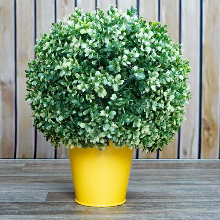 Actual product image JOHN316 Buchsbaumkugel (35 cm)