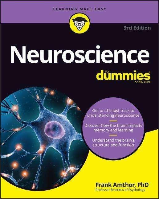 Neuroscience For Dummies (Frank Amthor, Englisch)