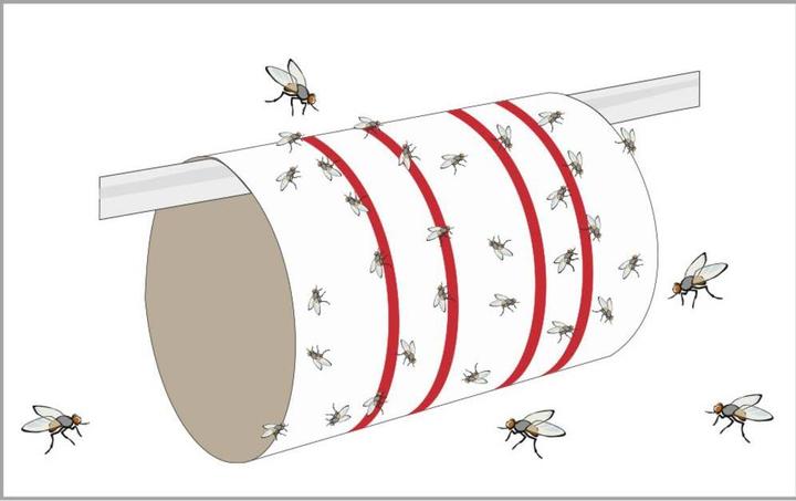 Produktbild Redtop Fliegenfalle Fliegenbogen 3109