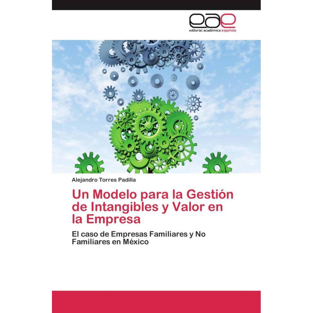 Un Modelo para la Gestión de Intangibles y Valor en la Empresa, Fachbücher