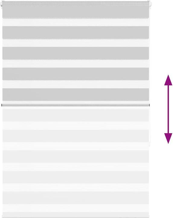 Produktbild vidaXL Zebra-Jalousie (105 x 150 cm)
