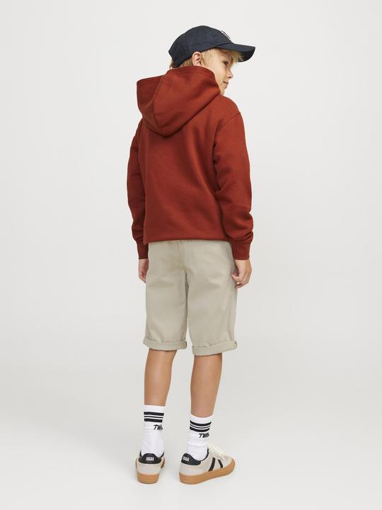 Image du produit Jack & Jones Jpstbowie Jjshorts Solid Sn Jnr (128)