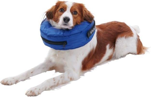 Productafbeelding Buster - Inflatable Collar - S - Nylon Blue (279730) (S, Hond, Hondensport)