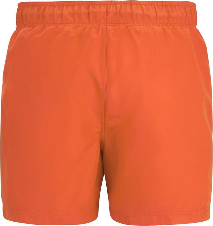 Produktbild Regatta Mawson II Kurze Hose (M)