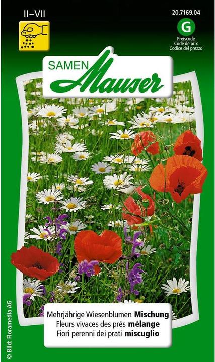 Produktbild Samen Mauser Wiesenblumen Mischung (Rasensamen)