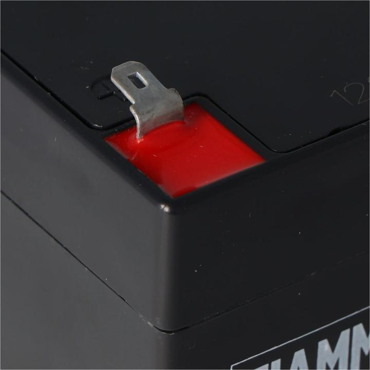 Produktbild Fiamm Akku FG20451 (12 V, 4.50 Ah)
