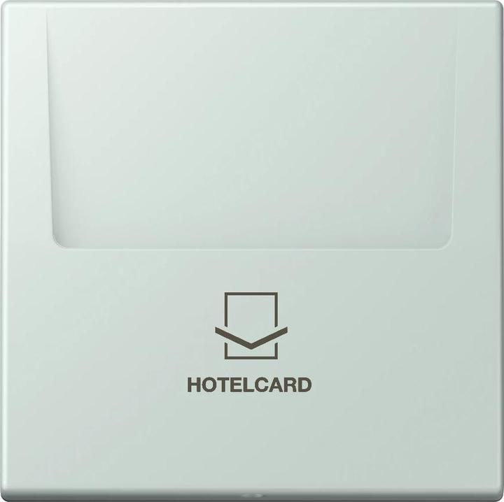 Actual product image JUNG Hotel card switch (Key card)