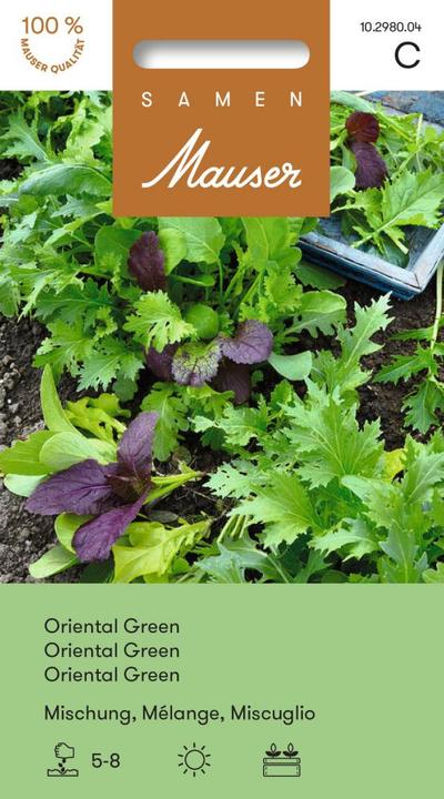 Image du produit Samen Mauser Oriental Green Mélange (Graines de légumes)