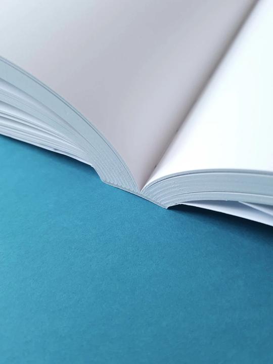 Produktbild Elisabeth Volk (Deutsch, Englisch, artQ13, Britta Lenk, Edward Fortes, Pia Lauro, Veronica He, 2023)