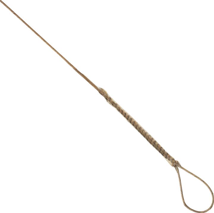 Actual product image Caperlan Leader steel 2 eyes predator fishing
