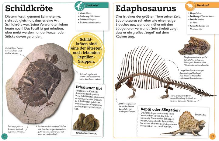 Produktbild Fossilien (Deutsch, Christine Condé, Dean Lomax, DK Verlag - Kids, 2022)