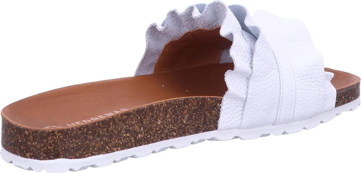 Immagine prodotto Verbenas Mulo Rocio (40)