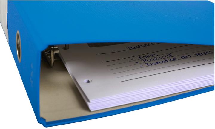 Produktbild Elco Zeigebuchtaschen Ordo vista (A4, 10x)