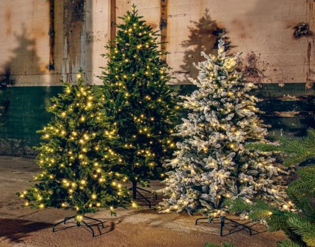 Immagine prodotto STT Albero (180 cm)