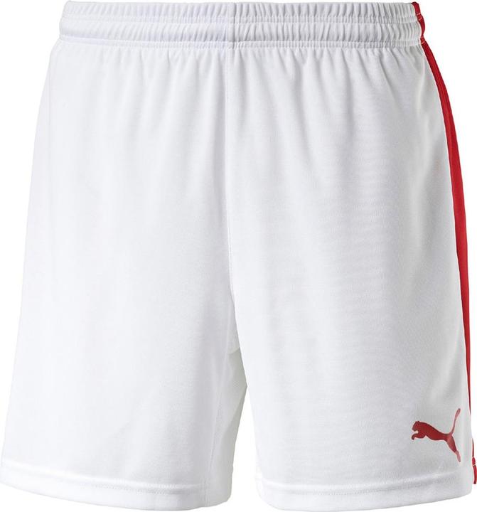 Actual product image Puma Pitch Shorts Withinnerbrief