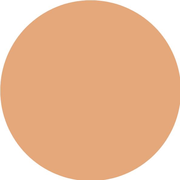 Actual product image Inika Organic Organic Liquid Foundation