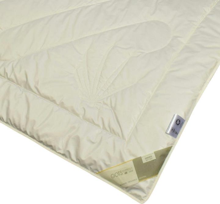 Immagine prodotto Traumschlaf Canapa biologica (750 g, 155 x 220 cm)