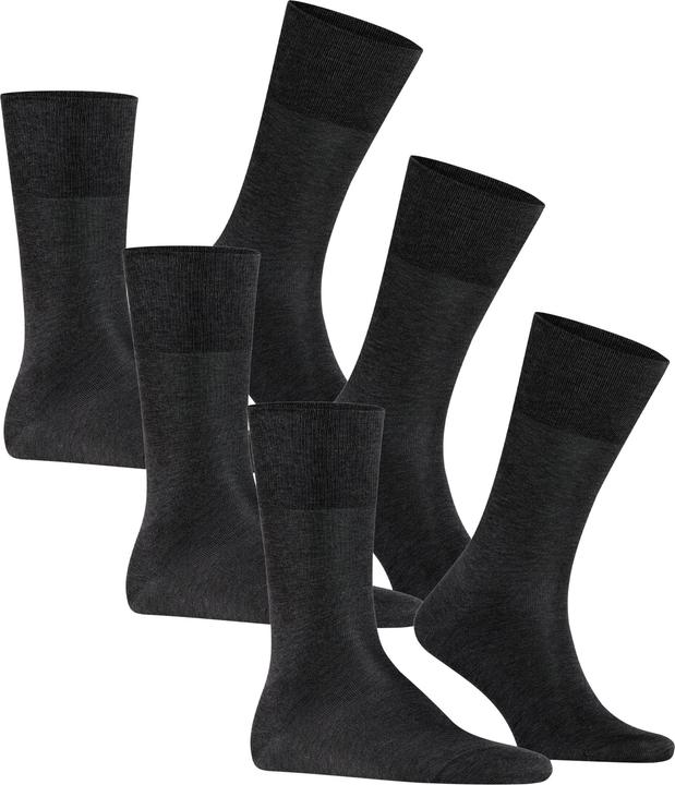 Image du produit Falke Tiago Bundle 3-Pack SO (Lot de 3, 47 - 48)