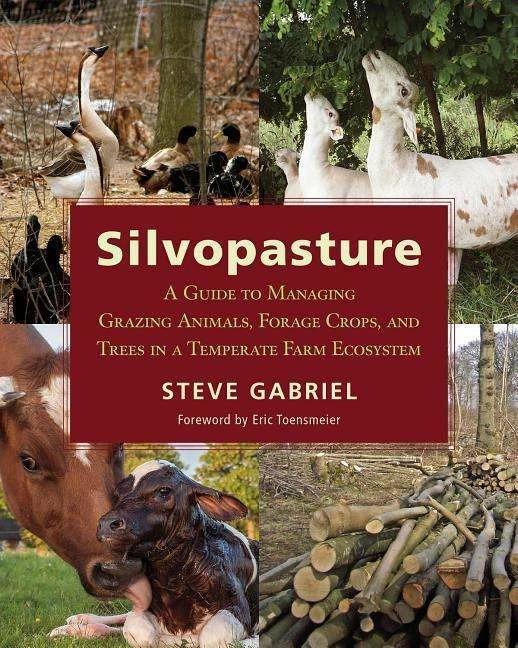Produktbild Silvopasture (Englisch, Steve Gabriel, 2018)
