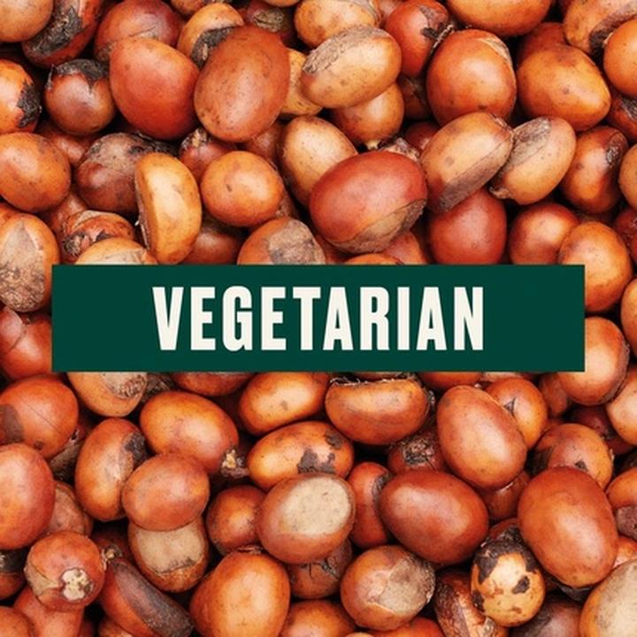 Actual product image The Body Shop Shea Hair Mask (240 ml)