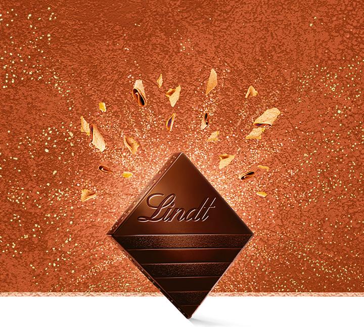 Produktbild Lindt Excellence Dunkel mit Gebäckstückchen (100 g)