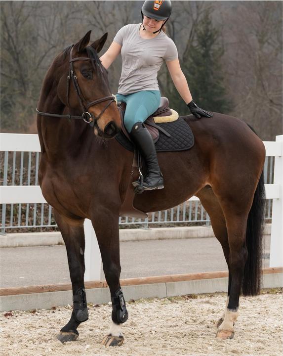 Immagine prodotto Marengo Cuscinetto da sella Basic