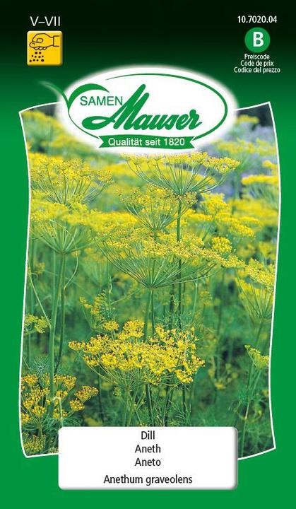 Produktbild Samen Mauser Dill (Kräutersamen)