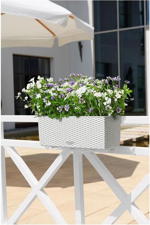 Actual product image Lechuza Balconera Cottage (19 cm)