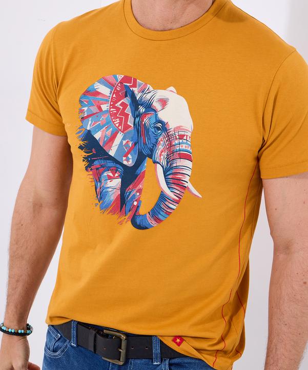 Actual product image Joe Browns Aztec Elephant Graphic T-Shirt (S)