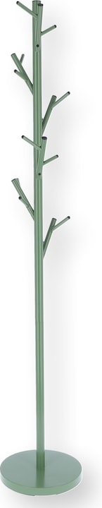 Salbei