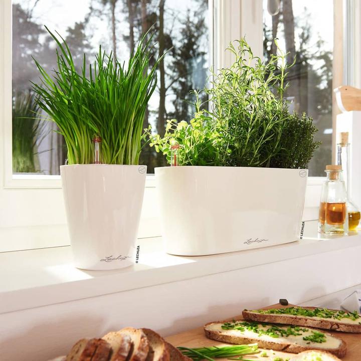 Produktbild Lechuza Delta (30 x 11 x 13 cm)