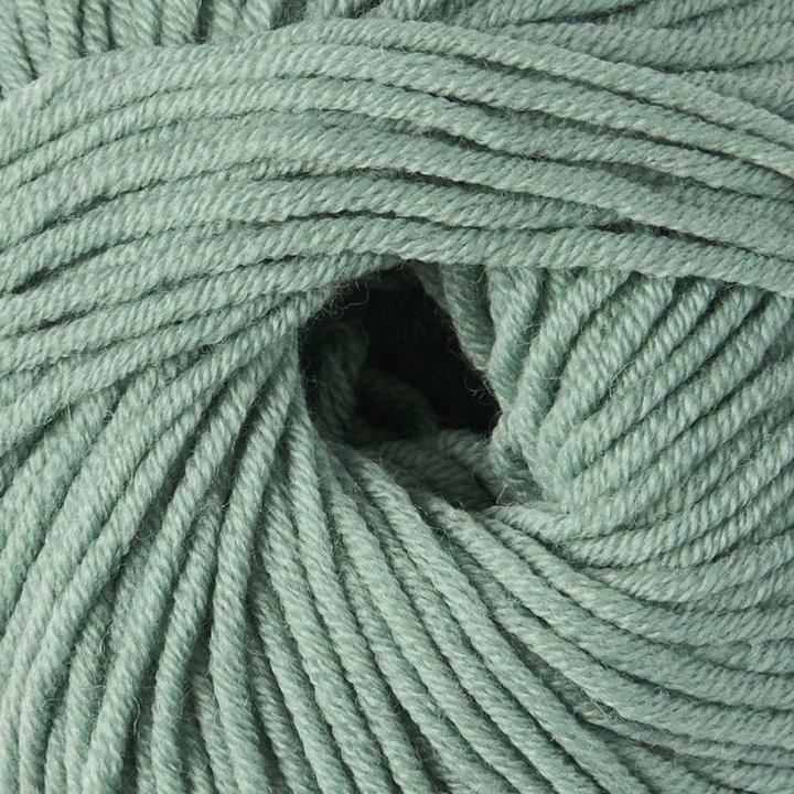 Actual product image DMC col. 019 sage approx. 80 m 50 g (80 m)