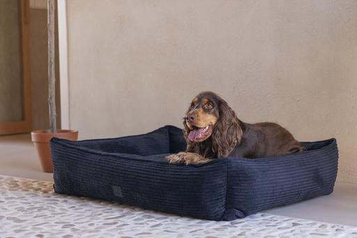 Immagine prodotto Designed by Lotte A coste (Cane)