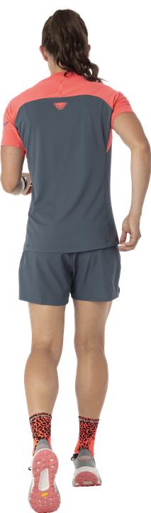 Actual product image Dynafit Alpine Pro T-Shirt (34, XS)