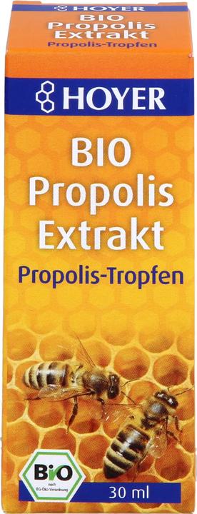 Actual product image Hoyer Propolis extract (1 Piece, Liquid, 80 g)