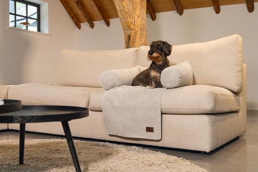 Actual product image Designed by Lotte Ribbed (Dog)