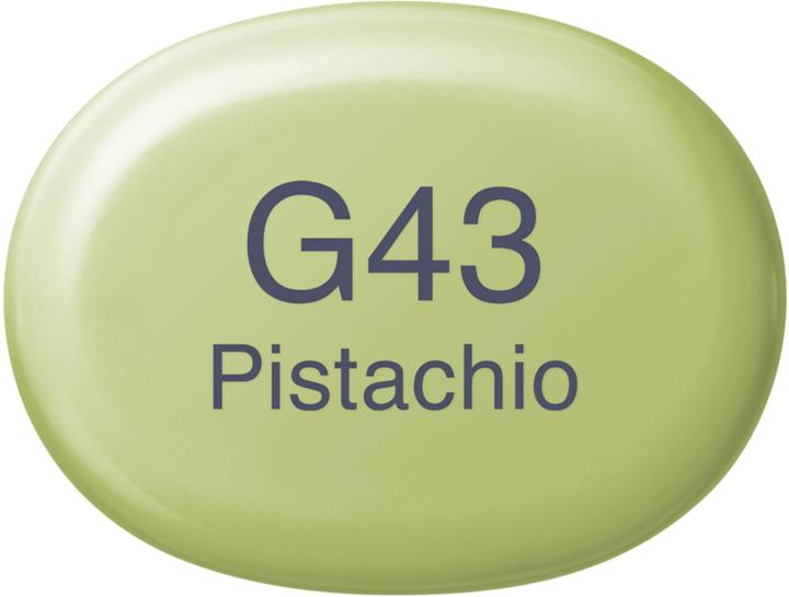Image du produit Copic Sketch type G - 43 (G43 - Pistachio, 1 x)