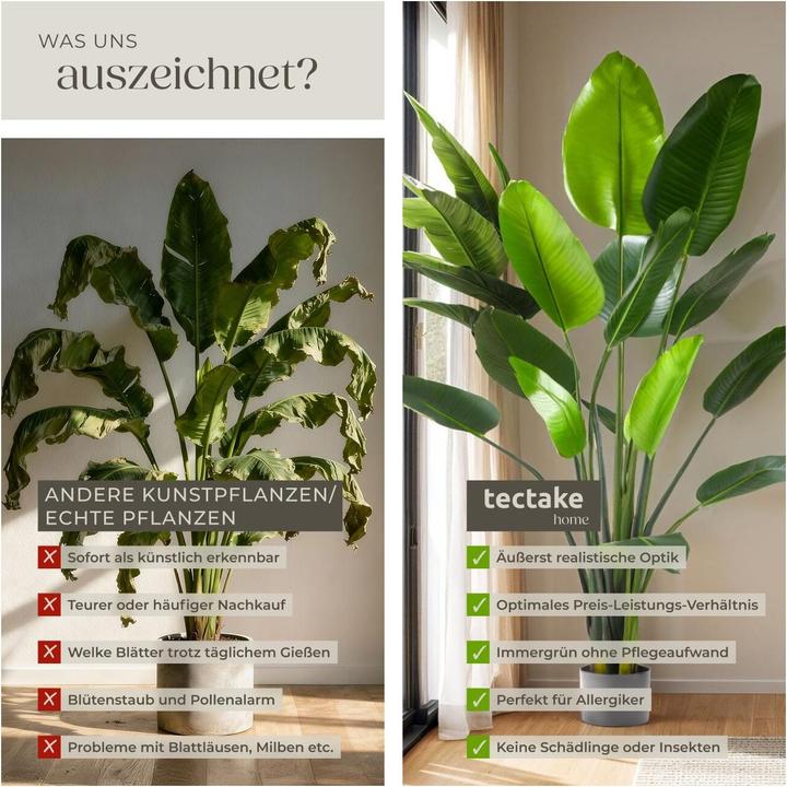 Produktbild tectake Paradiesvogelbaum Tropic (180 cm)