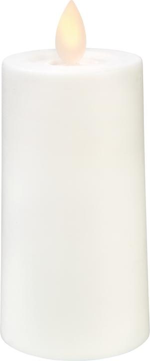 Actual product image Star Trading M-Twinkle (1 x)