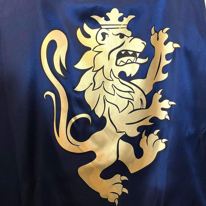 Produktbild Liontouch Ritter Löwe